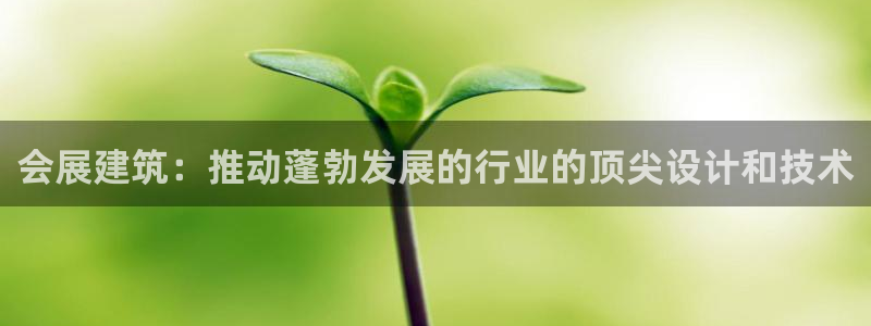 苹果电脑可以下载博易大师吗：会展建筑：推动蓬勃发展的行业的顶尖设计和技术