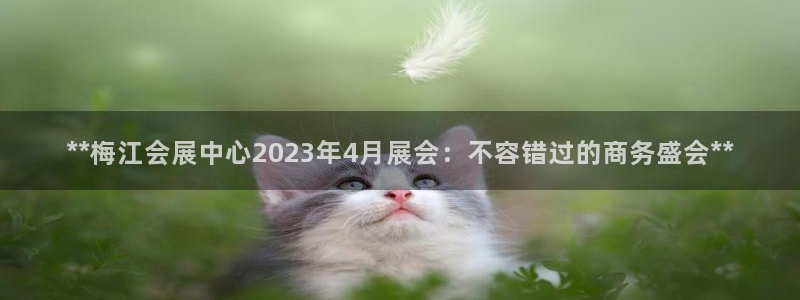 下载果博app：**梅江会展中心2023年4月展会：不容错过的商务盛会**