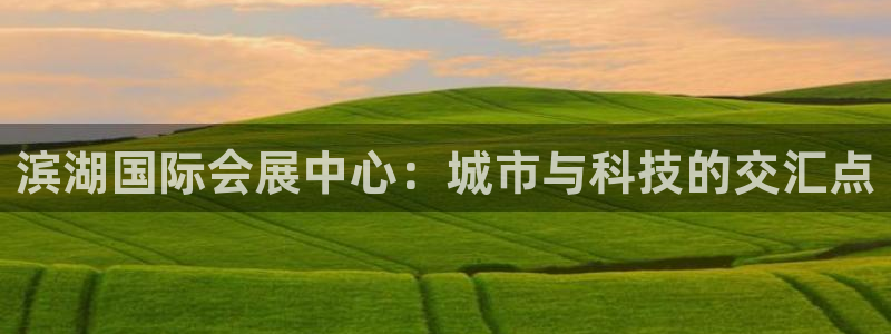 果博平台真实吗安全吗可靠吗：滨湖国际会展中心：城市与科技的交汇点