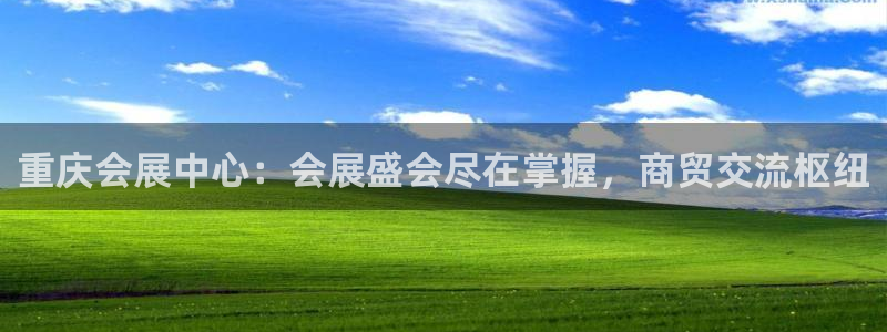 果博公司在线客服：重庆会展中心：会展盛会尽在掌握，商贸交流枢纽