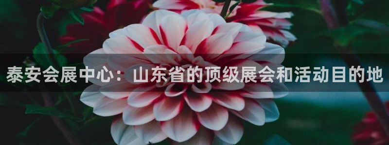 果博怎么注册账号：泰安会展中心：山东省的