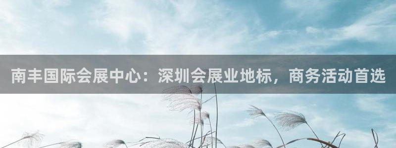 果博公司客服微信怎么加：南丰国际会展中心：深圳会展业地标，商务活动首选