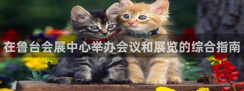 果博网站二维码：在鲁台会展中心举办会议和展览的综合指南