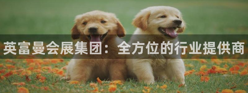 果博上分电话：英富曼会展集团：全方位的行业提供商