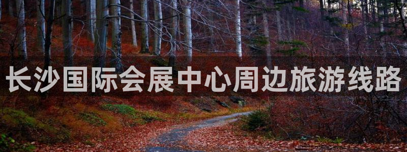 果博注册：长沙国际会展中心周边旅游线路