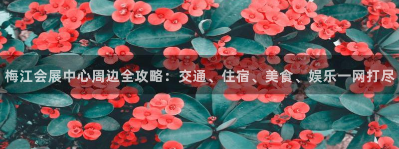 果博公司会员注册账号开户：梅江会展中心周边全攻略：交通、住宿、美食、娱乐一网打尽