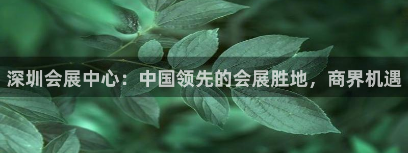 果博公司游戏网址：深圳会展中心：中国领先的会展胜地，商界机遇