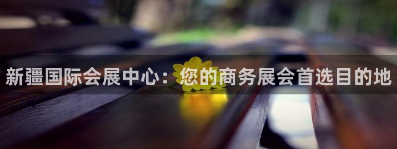 果博代理怎么注册：新疆国际会展中心：您的商务展会首选目的地
