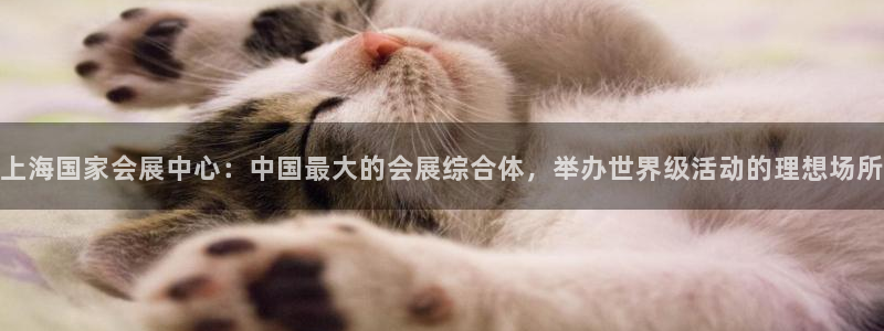果博服务电话：上海国家会展中心：中国最大的会展综合体，举办世界级活动的理想场所