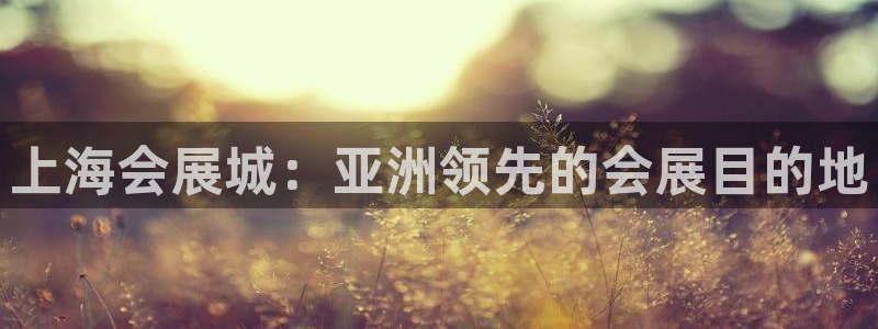 果博公司怎么注册会员：上海会展城：亚洲领先的会展目的地