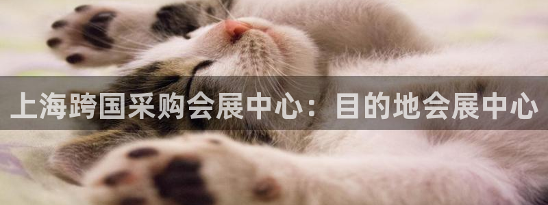 果博平台开户电话号码：上海跨国采购会展中心：目的地会展中心