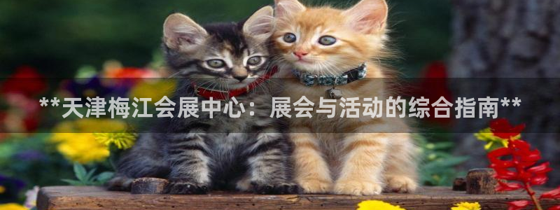 果博公司游戏网址：**天津梅江会展中心：展会与活动的综合指南**