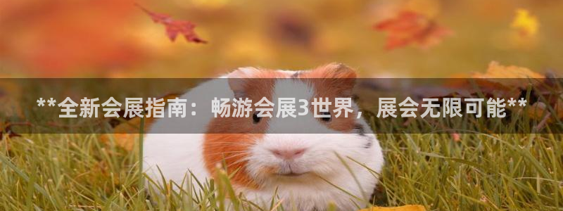 果搏东方客服：**全新会展指南：畅游会展3世界，展会无限可能**