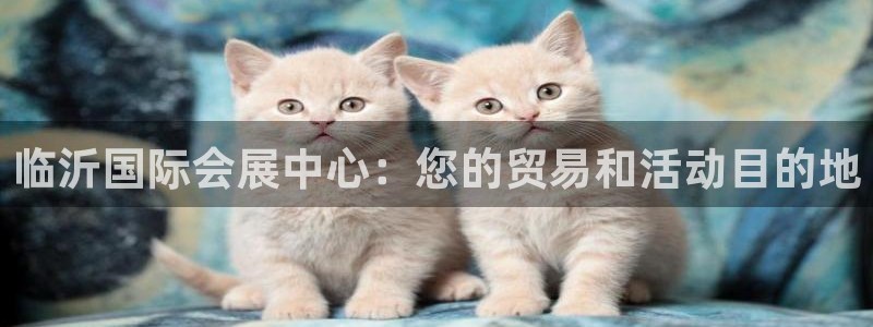 果博官网客服：临沂国际会展中心：您的贸易和活动目的地