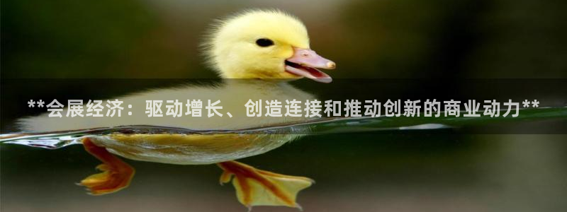 果博平台真实吗知乎怎么样：**会展经济：驱动增长、创造连接和推动创新的商业动力**