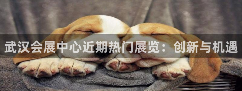 果博平台真实吗安全吗可信吗可靠吗：武汉会展中心近期热门展览：创新与机遇