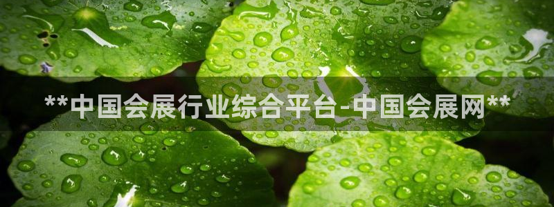果博注册平台怎么注册：**中国会展行业综合平台-中国会展网**
