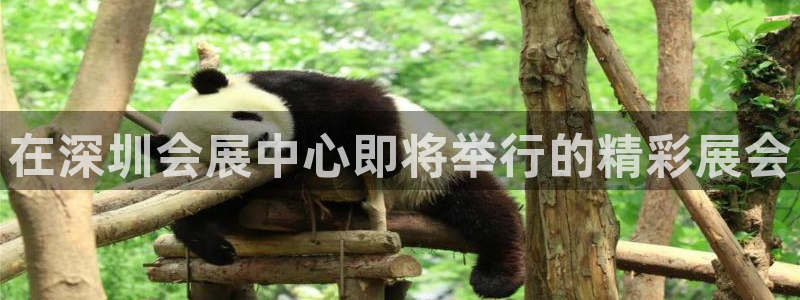 果博公司联系电话：在深圳会展中心即将举行
