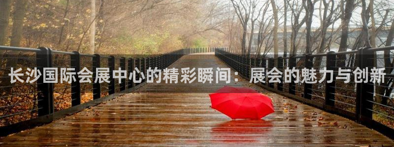 果博公司联系电话：长沙国际会展中心的精彩瞬间：展会的魅力与创新