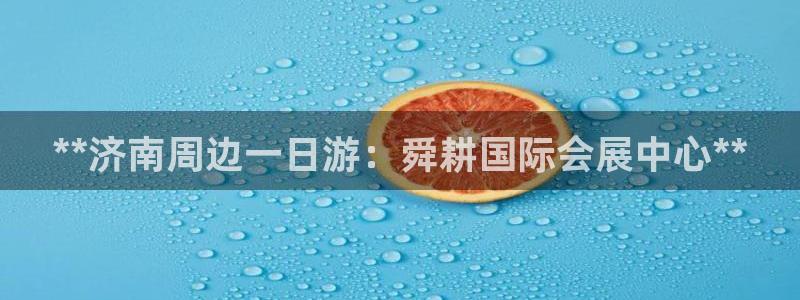 果博公司：**济南周边一日游：舜耕国际会展中心**