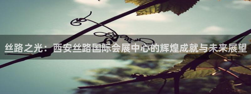 果博公司会员注册账号：丝路之光：西安丝路