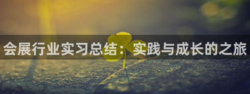 果博平台苹果电脑怎么下载：会展行业实习总