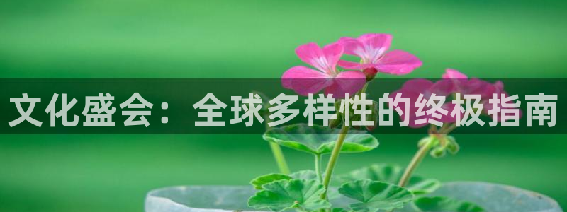 果博代理：文化盛会：全球多样性的终极指南