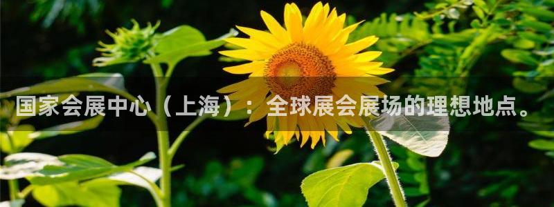果博官网首页：国家会展中心（上海）：全球展会展场的理想地点。