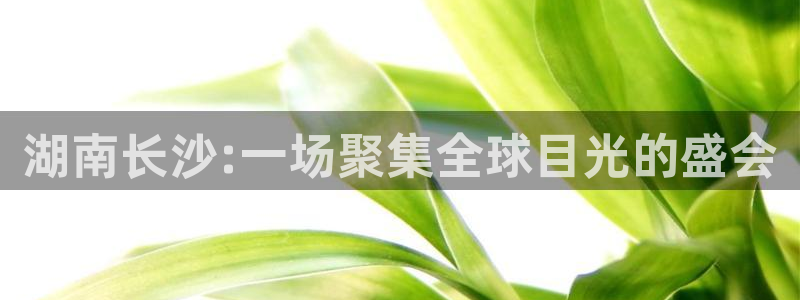 果博注册平台怎么注册的：湖南长沙:一场聚