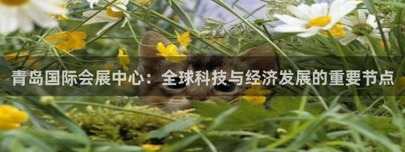 果博公司会员怎么开户：青岛国际会展中心：全球科技与经济发展的重要节点