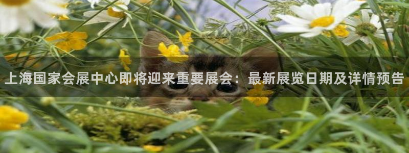 果博公司客服联系方式：上海国家会展中心即