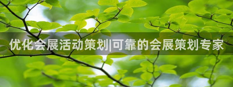 果博公司怎么注册会员：优化会展活动策划|