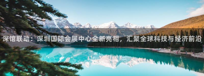 果博代理：深馆联动：深圳国际会展中心全新