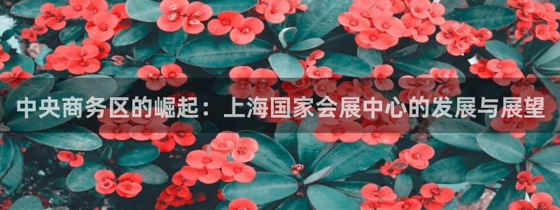 果博官网客服：中央商务区的崛起：上海国家
