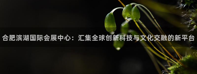 果博平台客服电话：合肥滨湖国际会展中心：