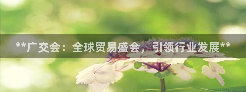 果博上分电话