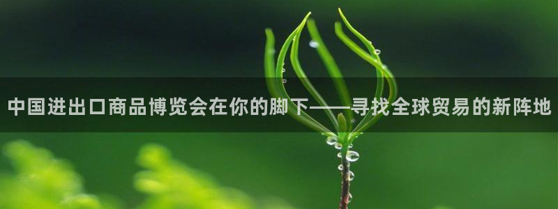 果博代理电话多少号码：中国进出口商品博览会在你的脚下——寻找全球贸易的新阵地