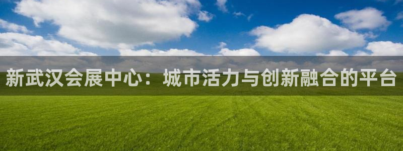 果博官网客服：新武汉会展中心：城市活力与创新融合的平台