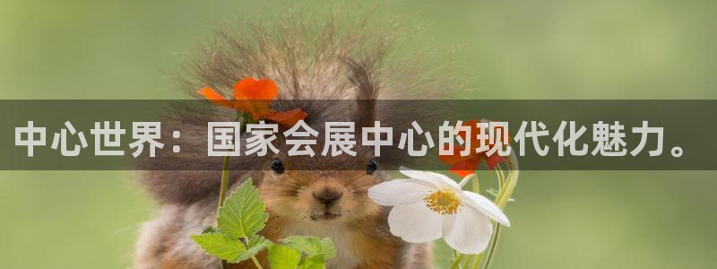 果博真人：中心世界：国家会展中心的现代化