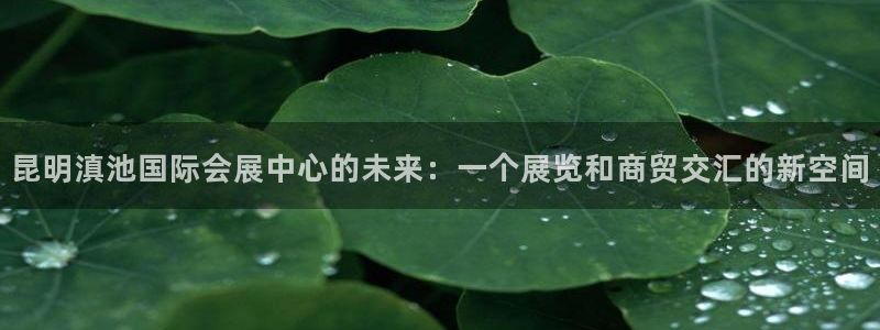 果博官网客服：昆明滇池国际会展中心的未来：一个展览和商贸交汇的新空间