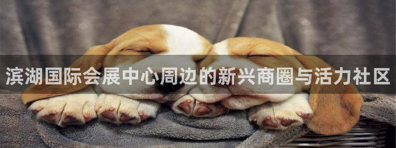 手机怎样下载果博：滨湖国际会展中心周边的新兴商圈与活力社区