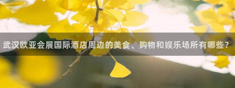 果博手机下载：武汉欧亚会展国际酒店周边的