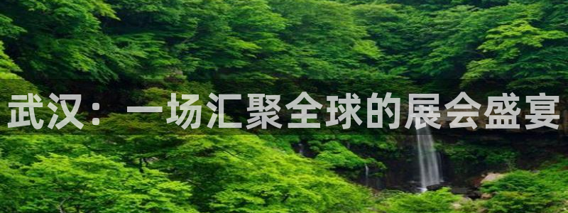 果博东手机版下载开户：武汉：一场汇聚全球的展会盛宴