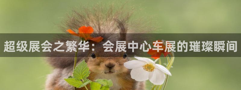 果博手机版官方下载：超级展会之繁华：会展中心车展的璀璨瞬间