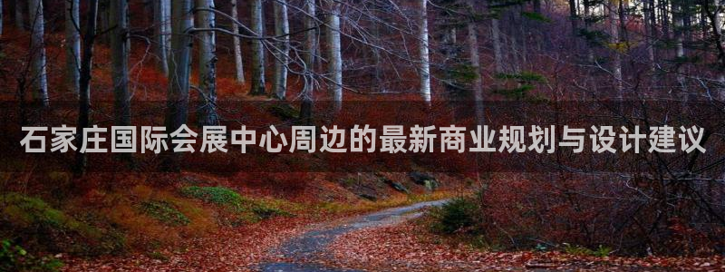 苹果电脑可以下载博易大师吗：石家庄国际会展中心周边的最新商业规划与设计建议