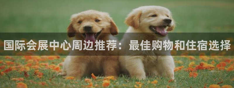下载果博博东方下载：国际会展中心周边推荐：最佳购物和住宿选择