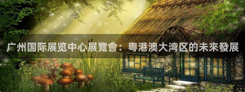 果博官网在银博：广州国际展览中心展覽會：粤港澳大湾区的未來發展