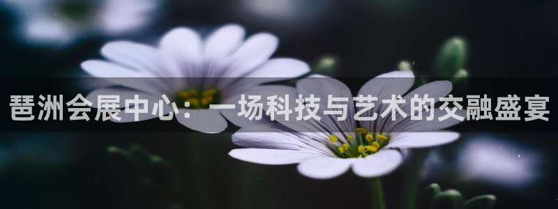 果博注册链接：琶洲会展中心：一场科技与艺术的交融盛宴