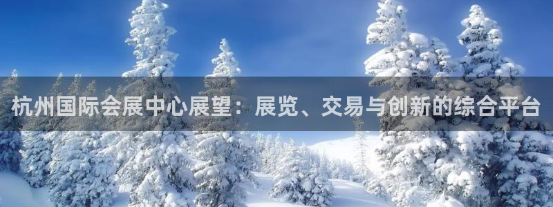 果博注册充值怎么充：杭州国际会展中心展望：展览、交易与创新的综合平台