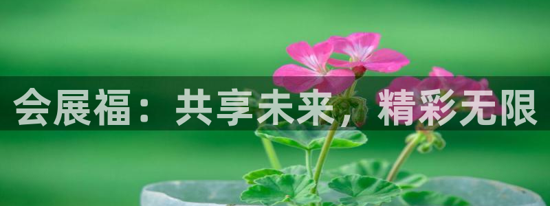 果博公司电话：会展福：共享未来，精彩无限